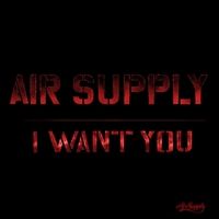 airsupply13.jpg